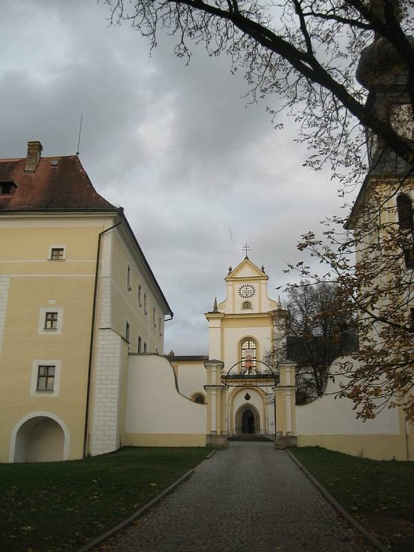 Vyrážite do přírody a rádi fotíte? Všimněte si pavučiny nebo barevného listí