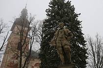Vánoční strom je v čase adventním ozdobou Vratislavova náměstí.
