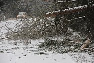 V úterý 2. prosince museli řidiči na Vysočině čelit následkům kalamity. Cestou potkávali polámané stromy, které nevydržely zátěž námrazy. 