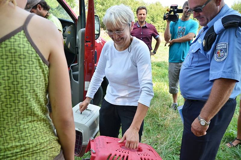 Z útulku odebrali všechny psy, provozovatelé péči nezvládali. Žďárská radnice řeší, kam teď bude umisťovat zatoulaná zvířata odchycená na území města.