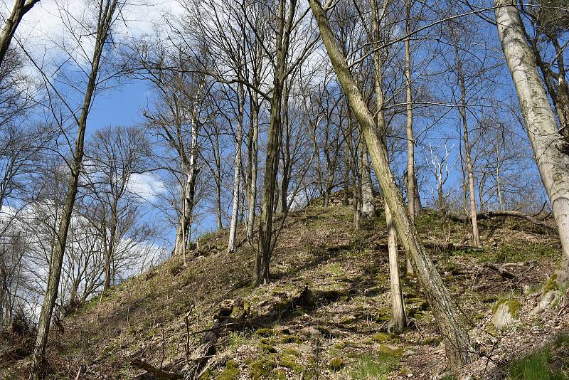 Nádherná příroda, vyhlídková místa a skvělá kuchyně. Na to lákali Šťastní z Víru turisty ze široka daleka. Upravovali cesty a vydávali pohlednice.