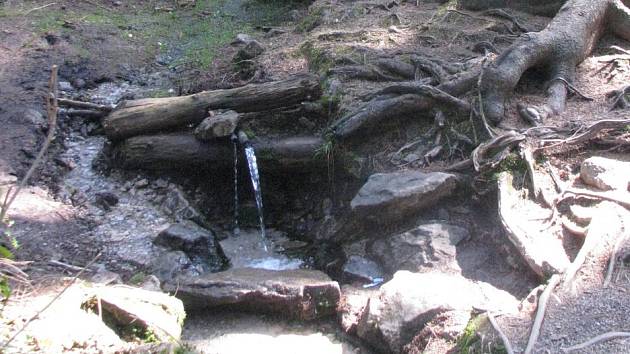 Žďárská studánka Salvátorka.