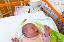 Monitory dechu Babysense II připevněné na postýlkách miminek na novorozeneckém oddělení novoměstské nemocnice monitorují pravidelný dech novorozenců. 