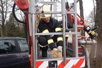 Žďárští hasiči zachránili kočku ze stromu.