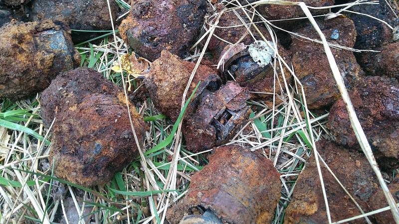 Přes sto padesát granátů a desítky roznětek zřejmě z druhé světové války našli pyrotechnici v lese u Vlachovic u Nového Města na Moravě.