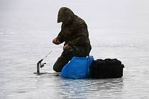 V zimě loví rybáři nejvíce pstruhy.