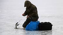 V zimě loví rybáři nejvíce pstruhy.
