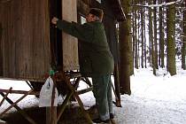 Každoroční sčítání lesní zvěře připadlo v letošním roce na sobotu 13. a neděli 14. února. V tyto dva dny vyrážejí do terénu myslivci z celého kraje Vysočina nevyjímaje ani ty ze Žďárska.