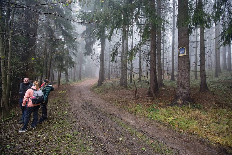 Obrázky na stromech v lese Ochoza u Vysočina arény v Novém Městě na Moravě.