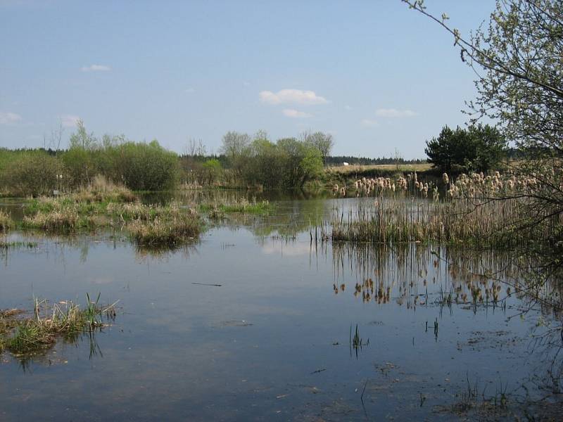 Již během letošního léta by mohlo být ve žďárském okrese vyhlášeno další zvláště chráněné území. Kraj Vysočina jím chce učinit vodní laguny nedaleko obce Bohdalov.