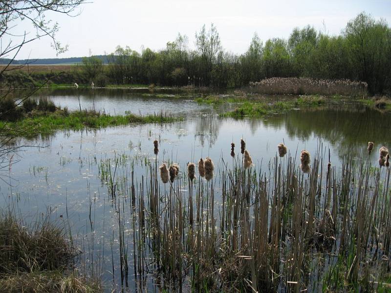 U Bohdalova vznikne nová chráněná oblast