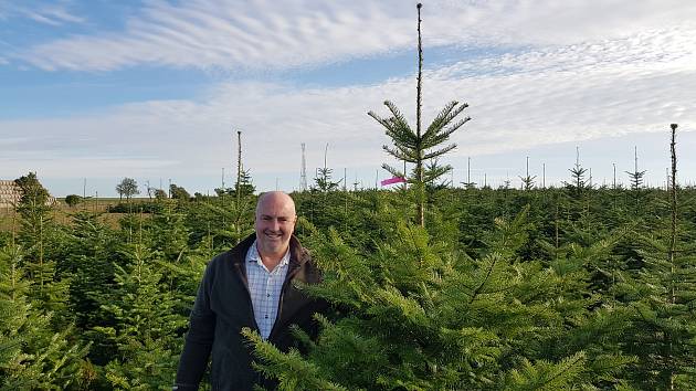 O vánoční stromky se v Rozkvetlém domově stará Josef Hošek. Vybírá je osobně na plantáži a řežou se až těsně před prodejem, aby byly co nejčerstvější.