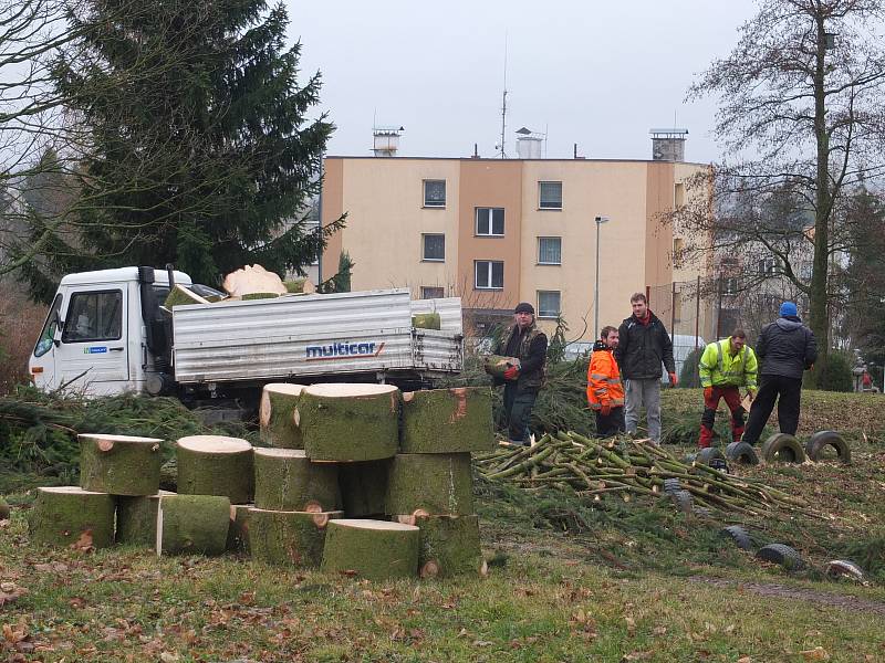 V rámci revitalizace bylo v lokalitě mezi ulicemi Polní a Lesní pokáceno jedenáct stromů. Na jaře bude místo nich vysazeno čtrnáct nových dřevin.