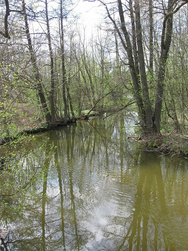 Když kvete zámek. Navštivte Žďár nad Sázavou a jeho okolí