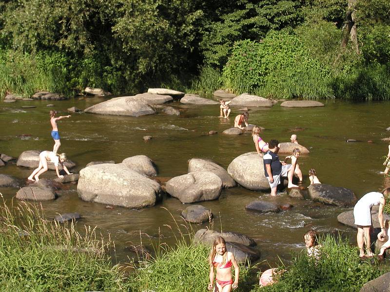 Přeplněný kemp Stvořidla a soutěž o nejchytřejšího psa v kempu Moře na rybníku Řeka Krucemburk. Fotografie jsou z archivu Deníku