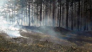 Požár lesa, ilustrační foto.