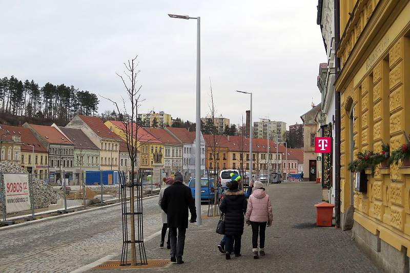 Stromy na vnější straně Karlova náměstí. S těmito památkáři souhlasili.