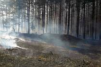 Požár lesa, ilustrační foto.