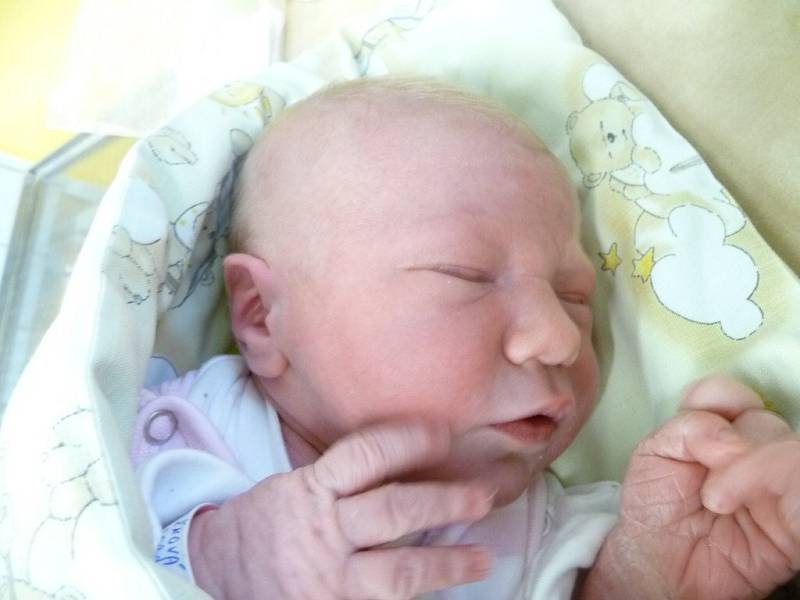 Vanesa Blažková, Žďár nad Sázavou, 2.12. 2012, 3550 g, 51 cm