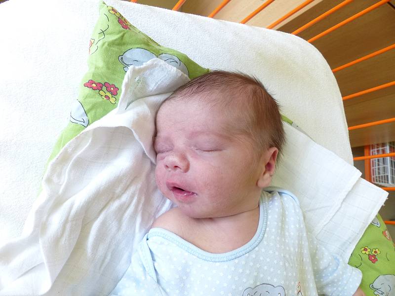 Patrik Vavera, Hamry nad Sázavou, 7.8. 2019, 3670 g, 52 cm