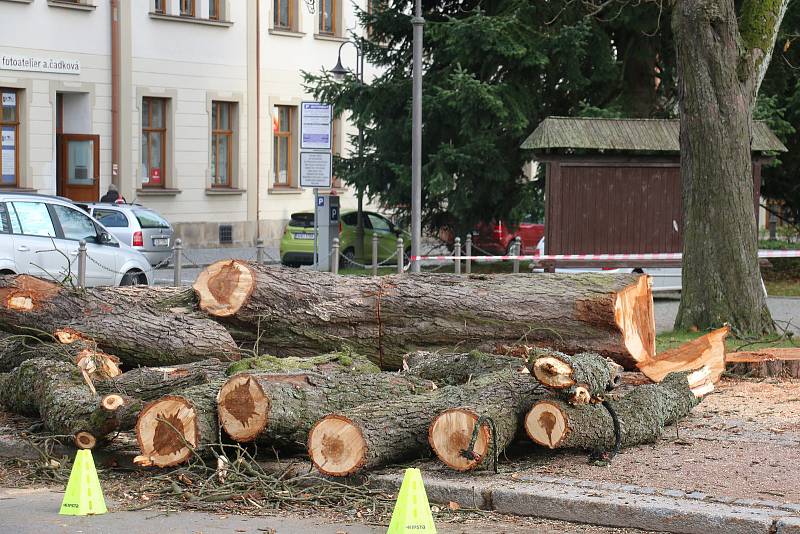 Do kmenů stromů se zakously motorové pily.