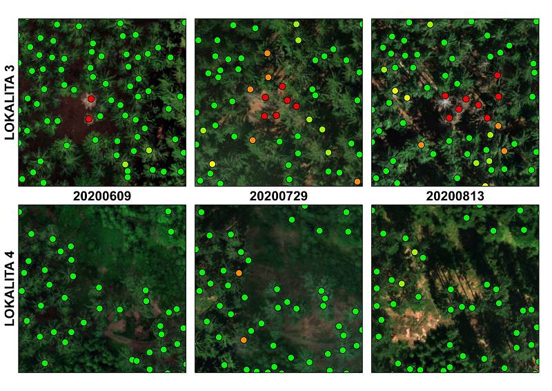 Snímky z dronu: zelená = zdravý strom. Žlutá = stresovaný, oranžová = pravděpodobně napadený a červená = napadený strom.