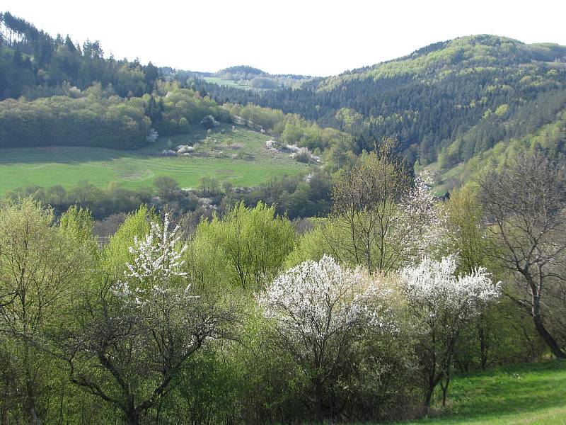 Trasy pochodu Za krásami okolí Nedvědice turisty provedou kolem řady zajímavých míst regionu.