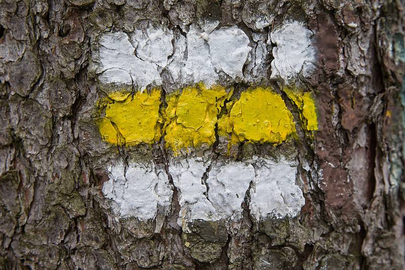 Kvůli kůrovcové kalamitě z lesů mizí i turistické značky.