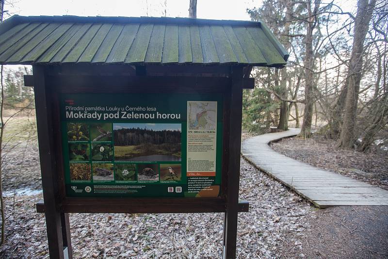 Ochranáři se vydali po stopách bobra ke Konventskému rybníku.