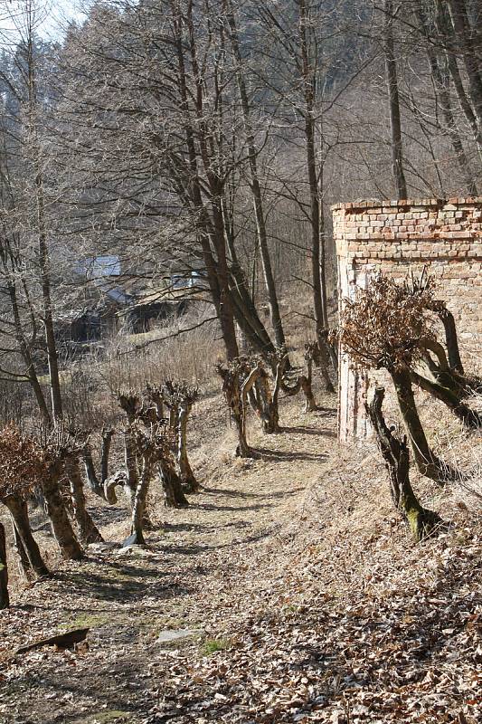 Takto vypadaly Pernštejnské zahrady v roce 2011.