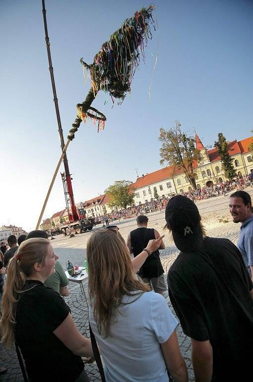 Postavením máje za doprovodu dechovky a následným otevřením hodových sklípků ve středu odpoledne začaly vyhlášené Bítešské hody. 