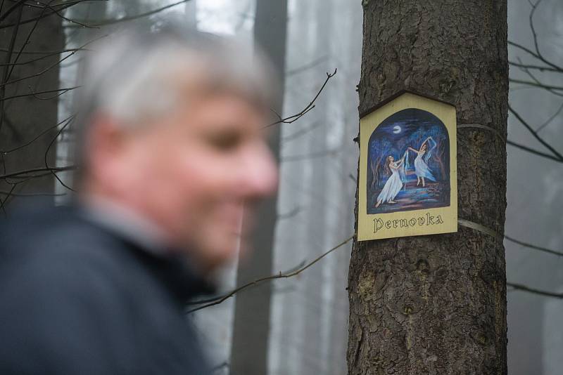 Obrázky na stromech v lese Ochoza u Vysočina arény v Novém Městě na Moravě.