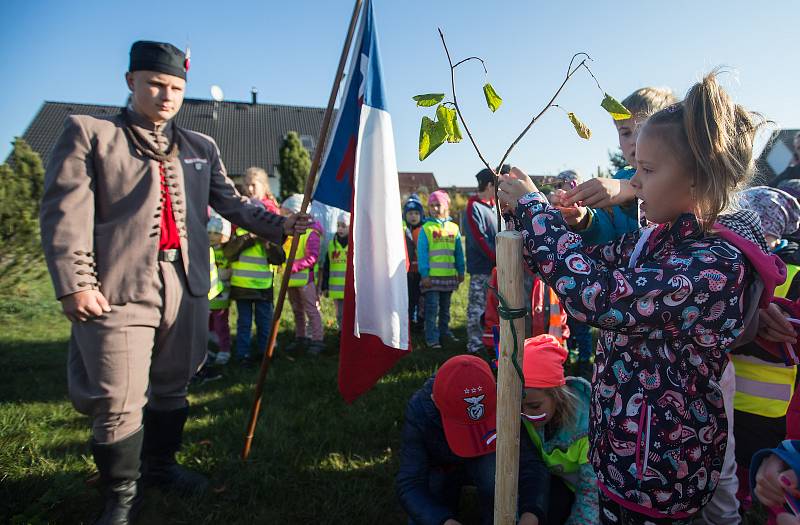 V rámci projektu 100 let s trikolórou se děti ve škole a ve školce v Polničce vytvořili oblečení do barev trikolory obraz státní vlajky a vysadili lípu.