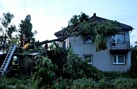 Stará lípa v obci Moravec na Žďársku nevydržela nápor větru. Pomáhat s odstraněním stromu museli hasiči.