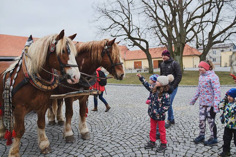 Při vítání jara na Edenu předvedla show jezdecká skupina Štvanci, nechyběla mláďátka a občas bylo potřeba zahřát se svařákem nebo teplým čajem.