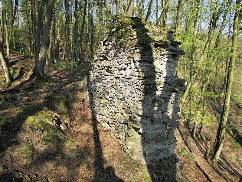 Počátky chřenovického hradu se vážou s koncem třináctého století.