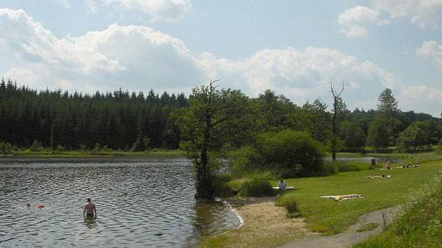 Rybník Medlov.
