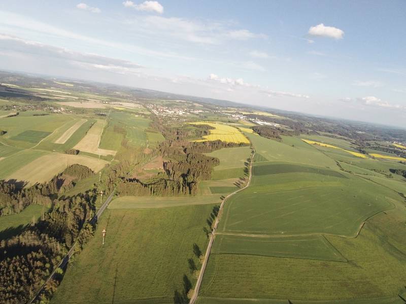 Domanský rybník - Rozsochy a jeho okolí