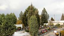 S úpravami stromů a keřů se počítá rovněž na hřbitově v Horní ulici a v jeho okolí.