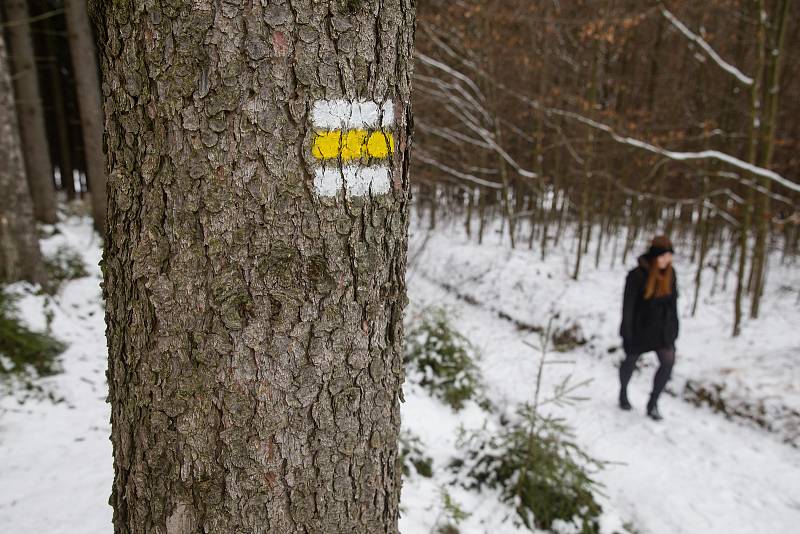 Kvůli kůrovcové kalamitě z lesů mizí i turistické značky.