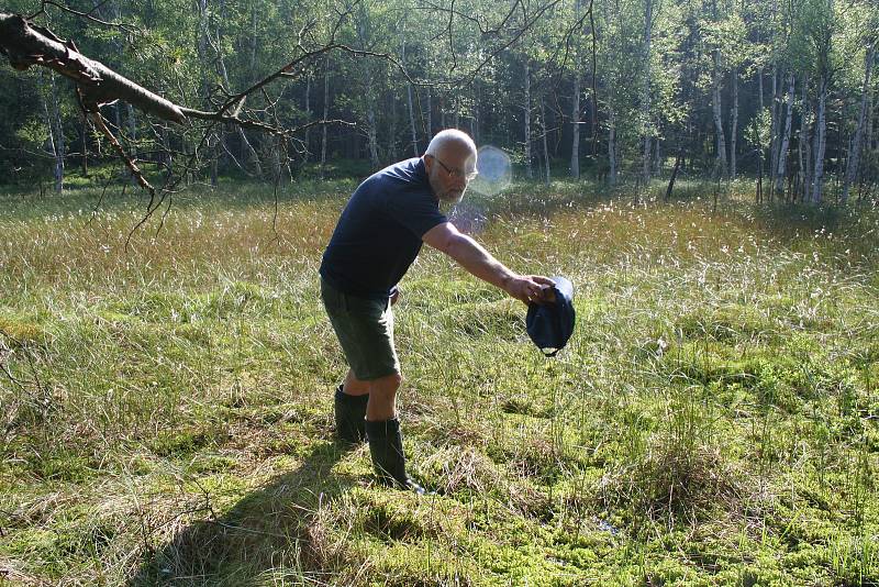 Vítězové se mohou podívat do míst, kam se běžně nedostanou. Jedním z takových míst jsou například Radostínská rašeliniště s vzácnou masožravou rostlinou rosnatkou okrouhlolistou.