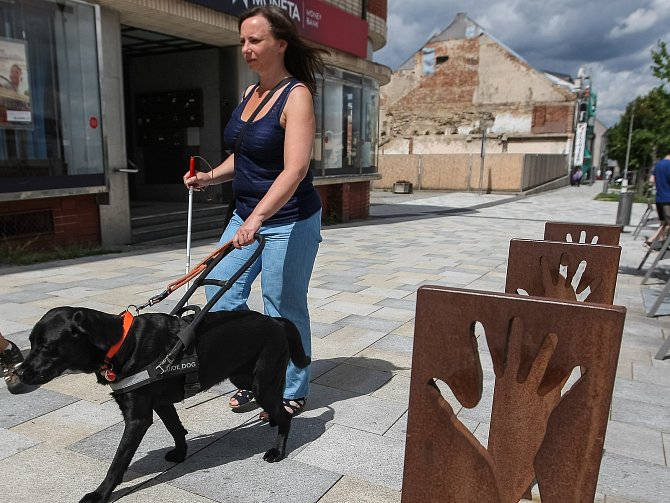 Výcvik vodících psů pro nevidomé v centru Žďáru nad Sázavou.
