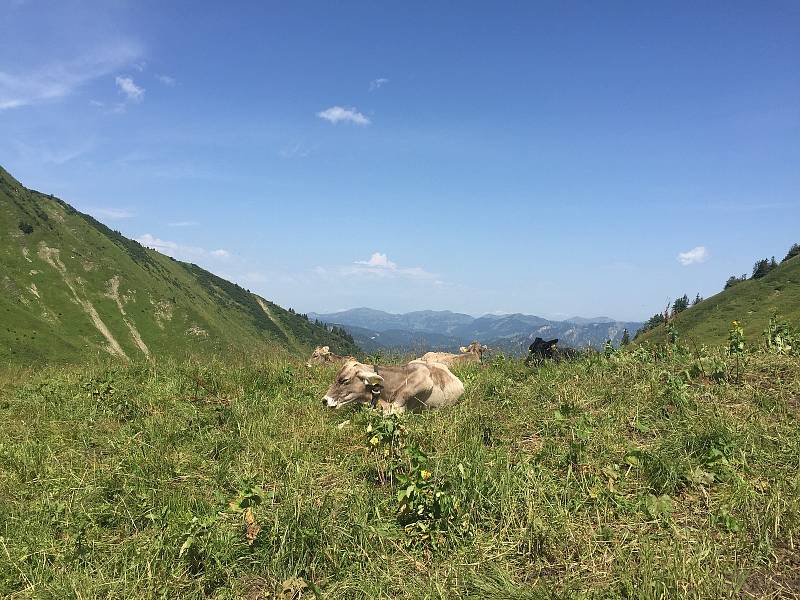 Lyžařská oblast Fellhorn Kleinwalsertal