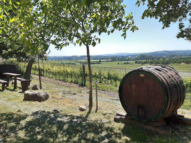 Rozjíždí se sezóna výletů Krajem vína po Moravských vinařských stezkách. Jejich cílem bude i podpora tornádem poničených obcí