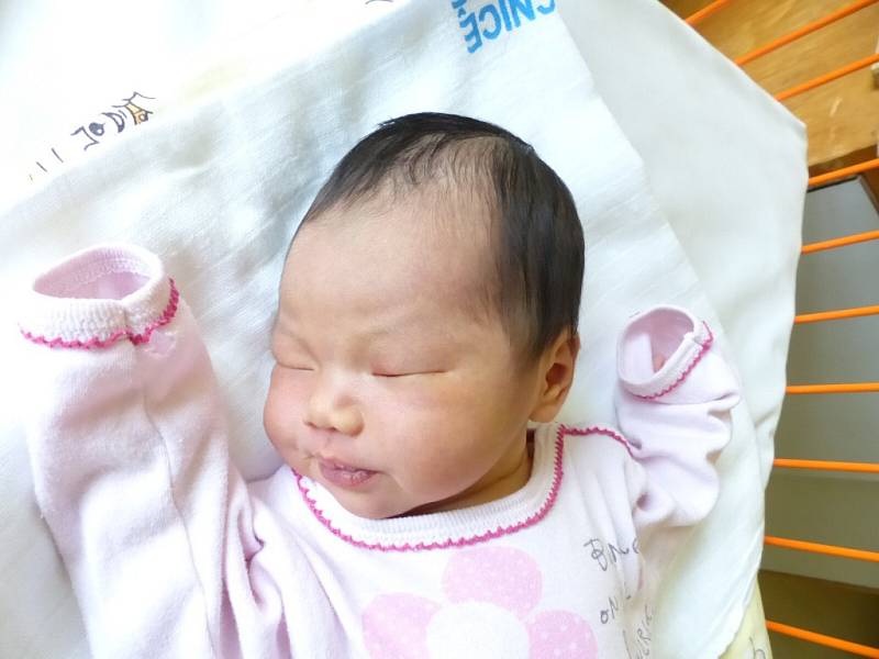 Ngoc Bich An Pham, Bystré u Poličky, 23.2. 2015, 3370 g, 51 cm