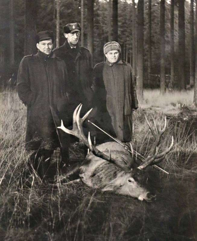 Do Žďárských vrchů se kdysi jezdilo na jeleny.