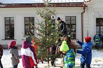 Stromeček před školou v areálu zámku děti nazdobily pomocí ručně vyráběných ozdob. Veřejnost jej uvidí zítra při zámeckém adventním trhu. 