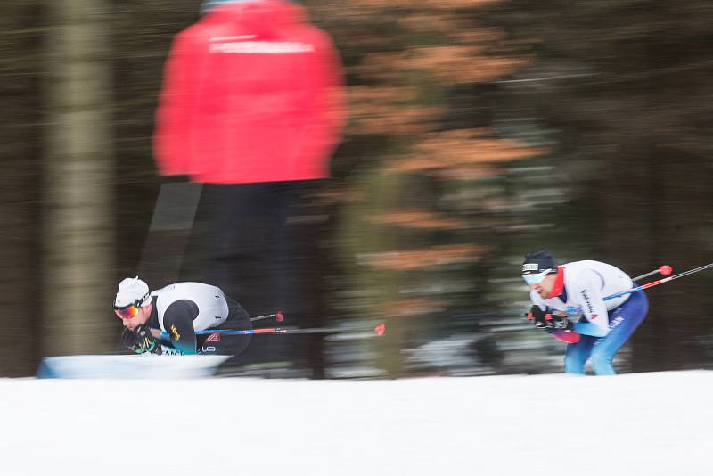 Zlatá lyže. Závod s hromadným startem mužů na 20 km v běhu na lyžích v Novém Městě na Moravě.