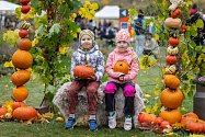 Den dýní si užili dospělí i děti ve Žďáře nad Sázavou. Foto: Deník/Jiří Uchytil