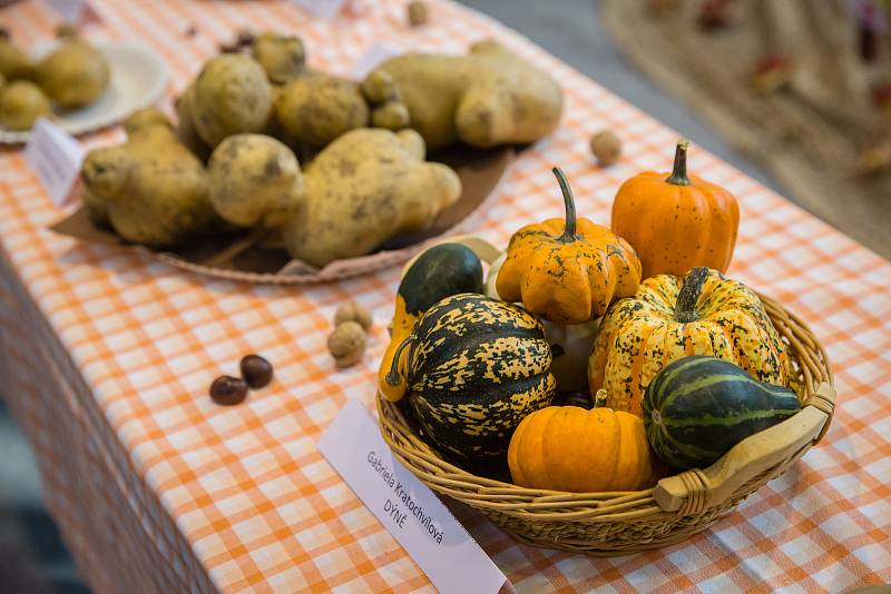 41. gastroden na Hotelové škole Světlá ve Velkém Meziříčí.